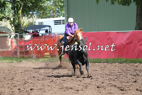 NimmitabelCampdraft2015_0560