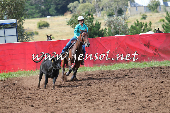 NimmitabelCampdraft2015_0331