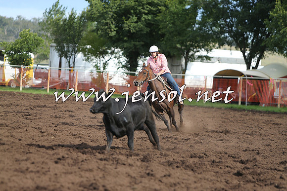 NimmitabelCampdraft2015_0655