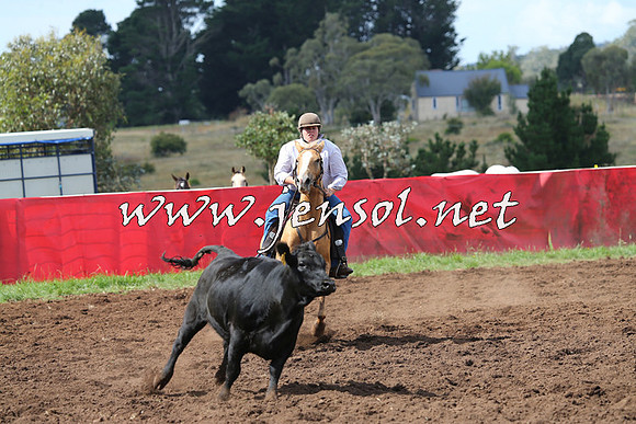 NimmitabelCampdraft2015_0371