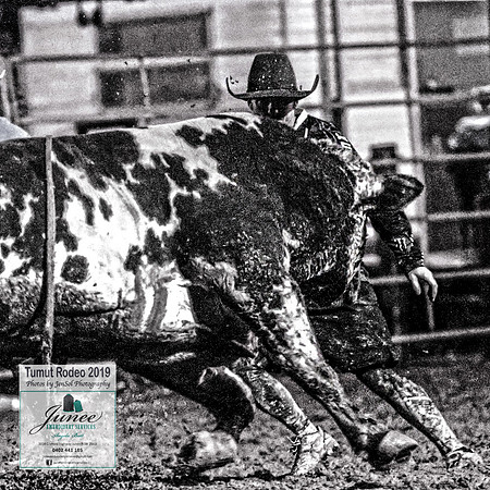 TumutRodeo2019_9068