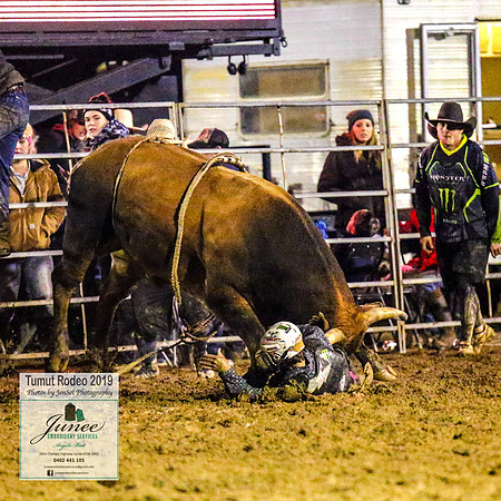 TumutRodeo2019_8244