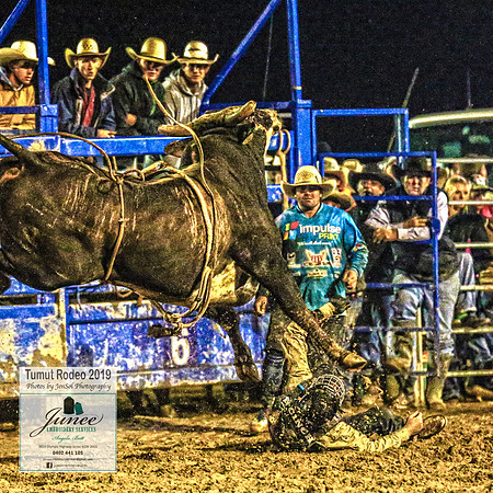 TumutRodeo2019_8186
