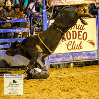 TumutRodeo2019_8255