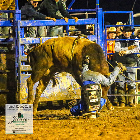 TumutRodeo2019_8224