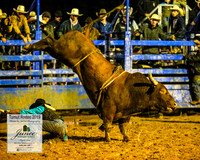 TumutRodeo2019_8146