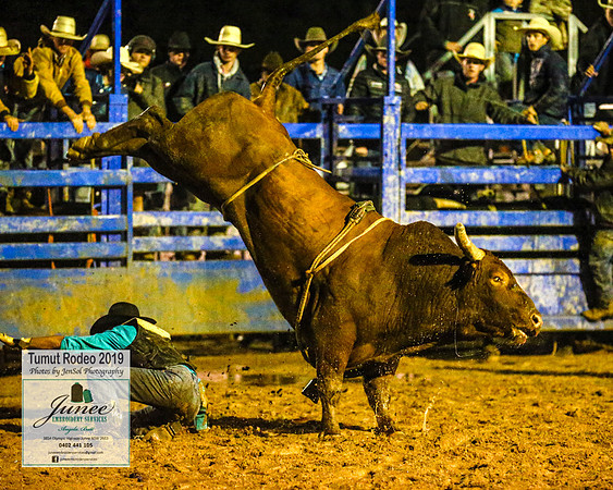 TumutRodeo2019_8146