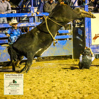 TumutRodeo2019_8280