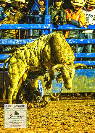 TumutRodeo2019_8851