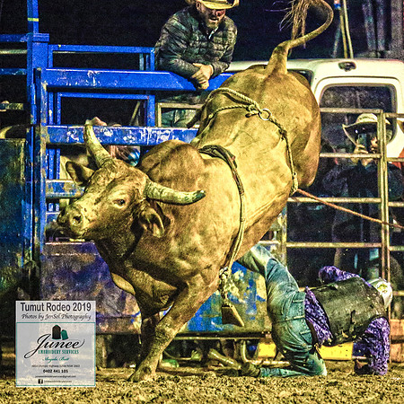TumutRodeo2019_8969