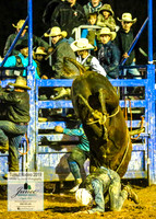 TumutRodeo2019_8165