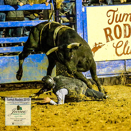 TumutRodeo2019_8265