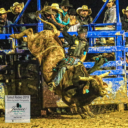 TumutRodeo2019_8890