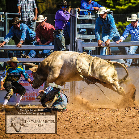 TaralgaRodeo2019_9892
