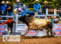 TaralgaRodeo2019_7087