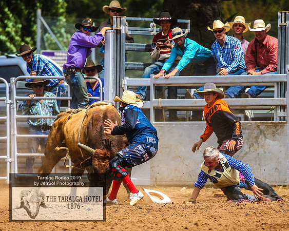 TaralgaRodeo2019_8176