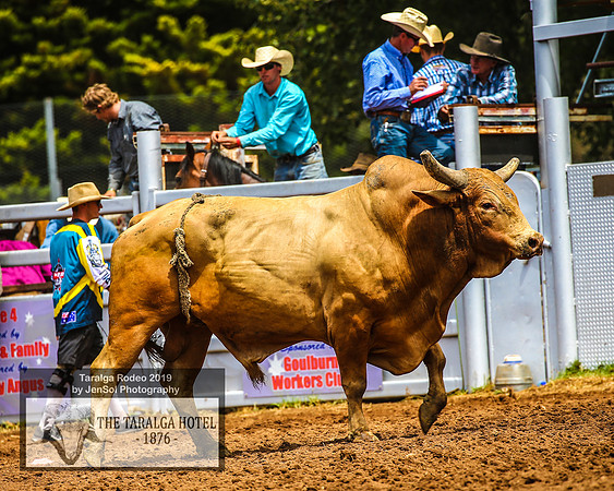 TaralgaRodeo2019_7313