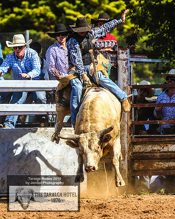 TaralgaRodeo2019_9888