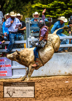 TaralgaRodeo2019_7168