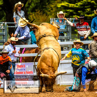 TaralgaRodeo2019_7305
