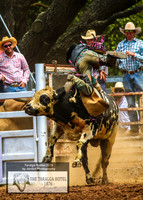 TaralgaRodeo2019_7115