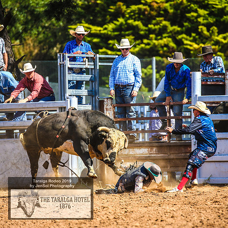 TaralgaRodeo2019_9658