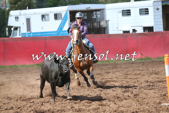 NimmitabelCampdraft2015_0494