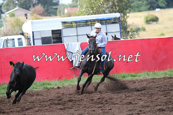 NimmitabelCampdraft2015_0468