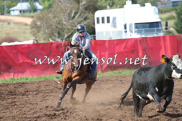 NimmitabelCampdraft2015_0526