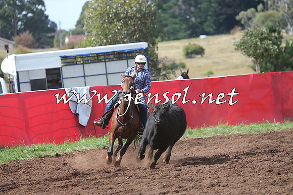 NimmitabelCampdraft2015_0449