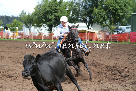 NimmitabelCampdraft2015_0472