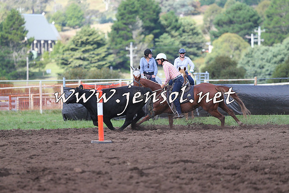 NimmitabelCampdraft2015_0488