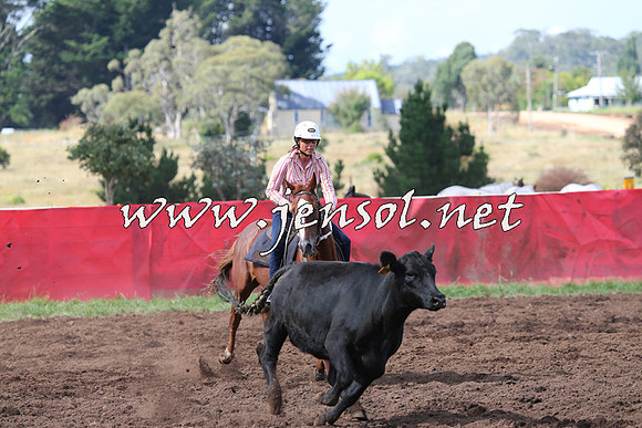 NimmitabelCampdraft2015_0477