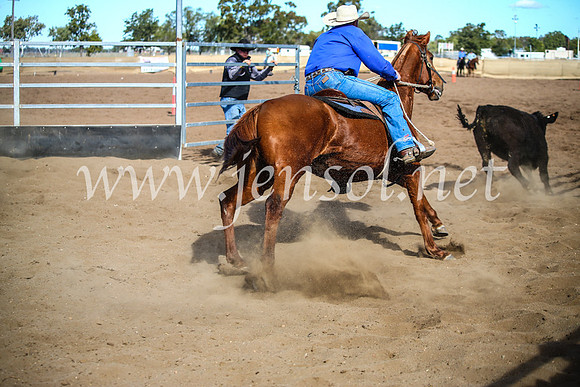 CoonambleRodeoCampdraftMon_7952