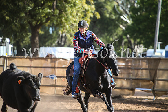 CoonambleRodeoCampdraftMon_8046