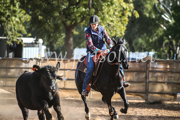 CoonambleRodeoCampdraftMon_8043