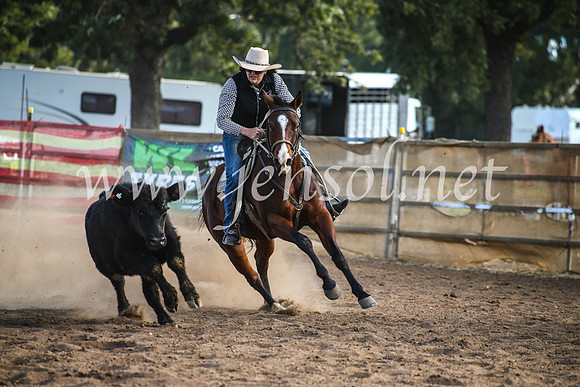 CoonambleRodeoCampdraftMon_8047