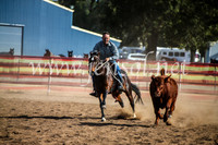 CoonambleRodeoCampdraftMon_7942