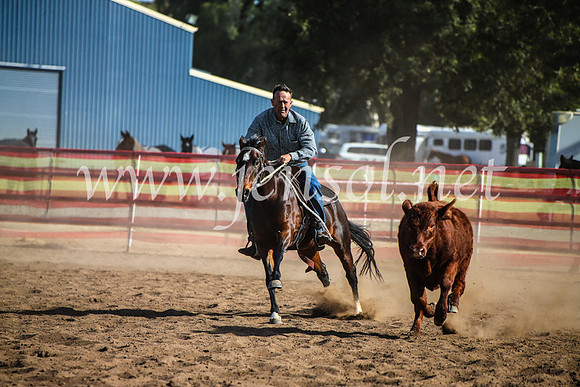 CoonambleRodeoCampdraftMon_7942