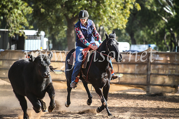 CoonambleRodeoCampdraftMon_8044