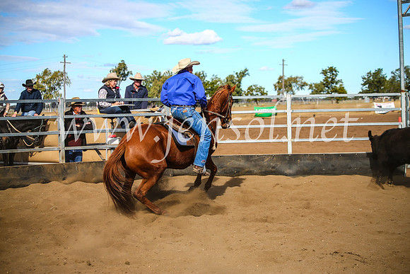 CoonambleRodeoCampdraftMon_7950