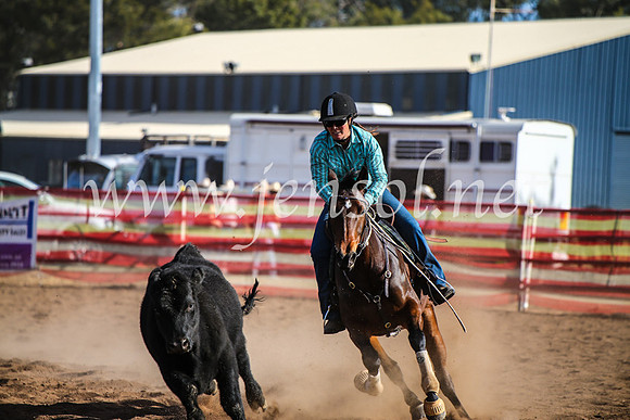 CoonambleRodeoCampdraftMon_8037
