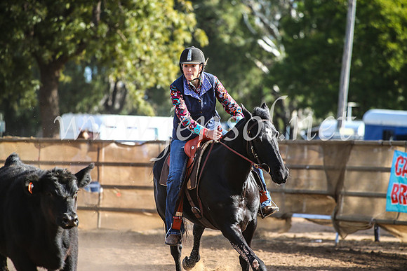 CoonambleRodeoCampdraftMon_8045