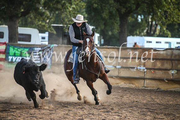 CoonambleRodeoCampdraftMon_8055