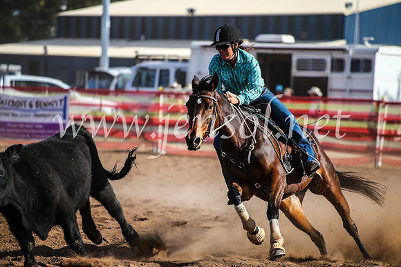 CoonambleRodeoCampdraftMon_8035