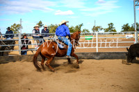 CoonambleRodeoCampdraftMon_7951