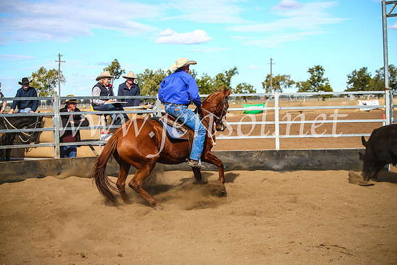 CoonambleRodeoCampdraftMon_7951