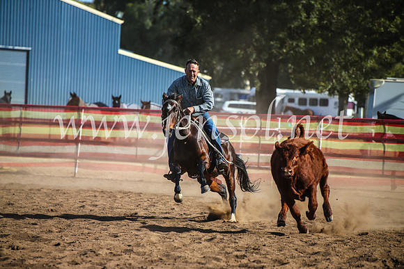 CoonambleRodeoCampdraftMon_7943
