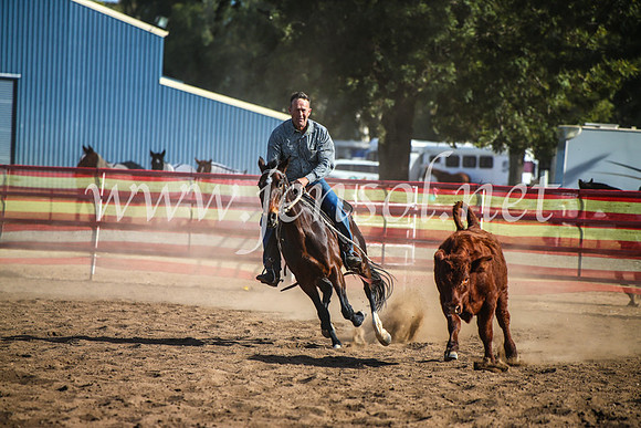 CoonambleRodeoCampdraftMon_7945