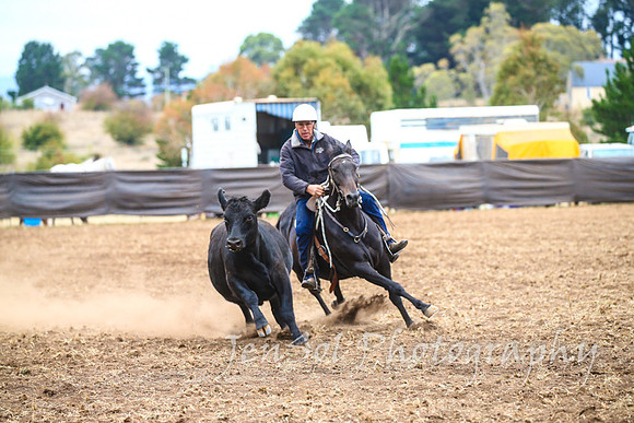 NimmitabelCampdraft2017_3563